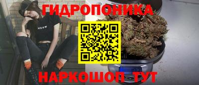 ECSTASY Владимир