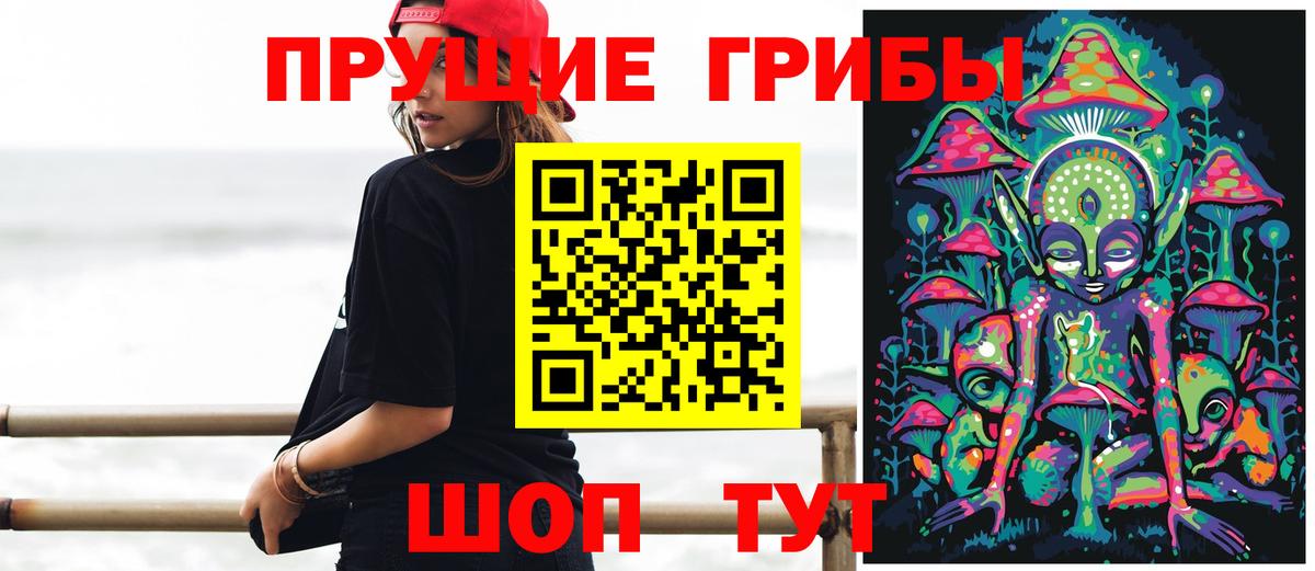 Псилоцибиновые грибы Cubensis  Вход с VPN  Гусь-Хрустальный 